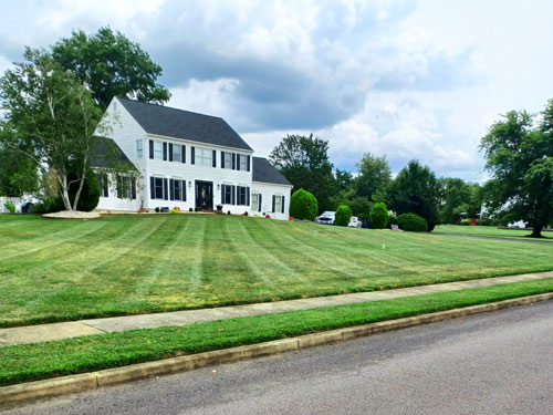 Anthos Landscaping | Lawn Care Services in Burlington County, NJ
