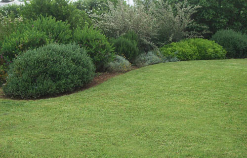 Anthos Landscaping | Lawn Care Services in Burlington County, NJ